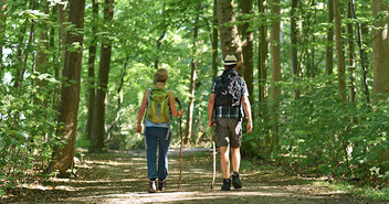 Zwei Menschen spazieren im Wald - Copyright: Tobias Frick / fundus-medien.de