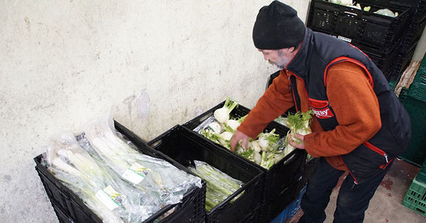 Das Gemüse geht durch die prüfenden Hände der Ehrenamtlichen. - © Nadler - Copyright: Yvonne Nadler