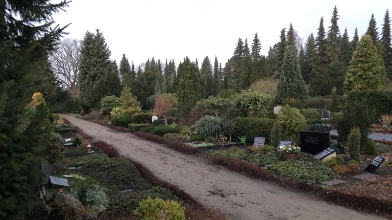 gutgepflegter Friedhof mit Blumen und Bäumen