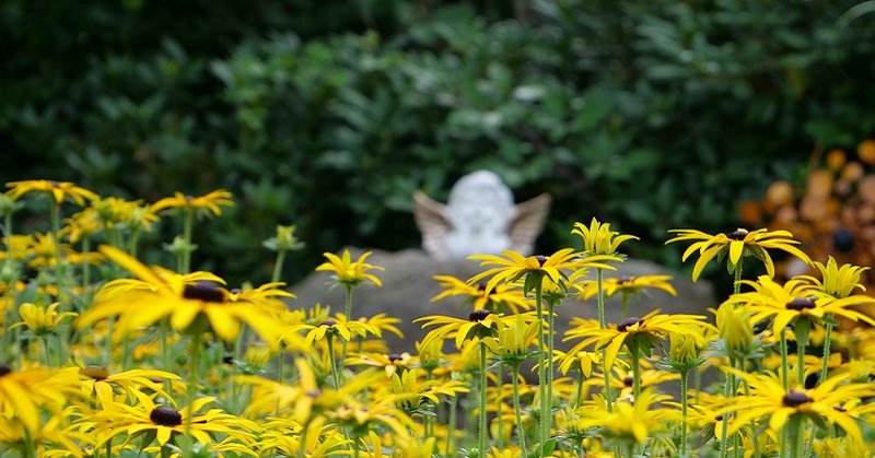 Blumen am Friedhof Reinbek