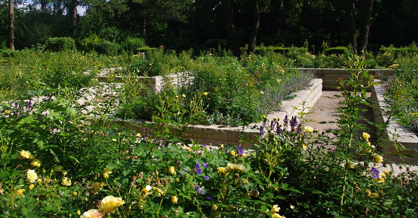 Urnengräber Friedhof Reinbek