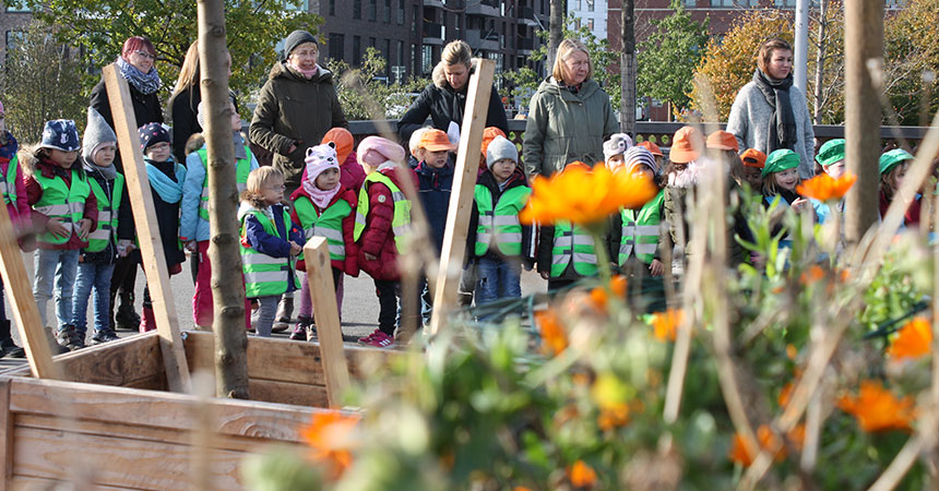 Kick´n Plant ist ein Projekt, das einen Fußballplatz und einen Gemüsegarten miteinander verbindet.